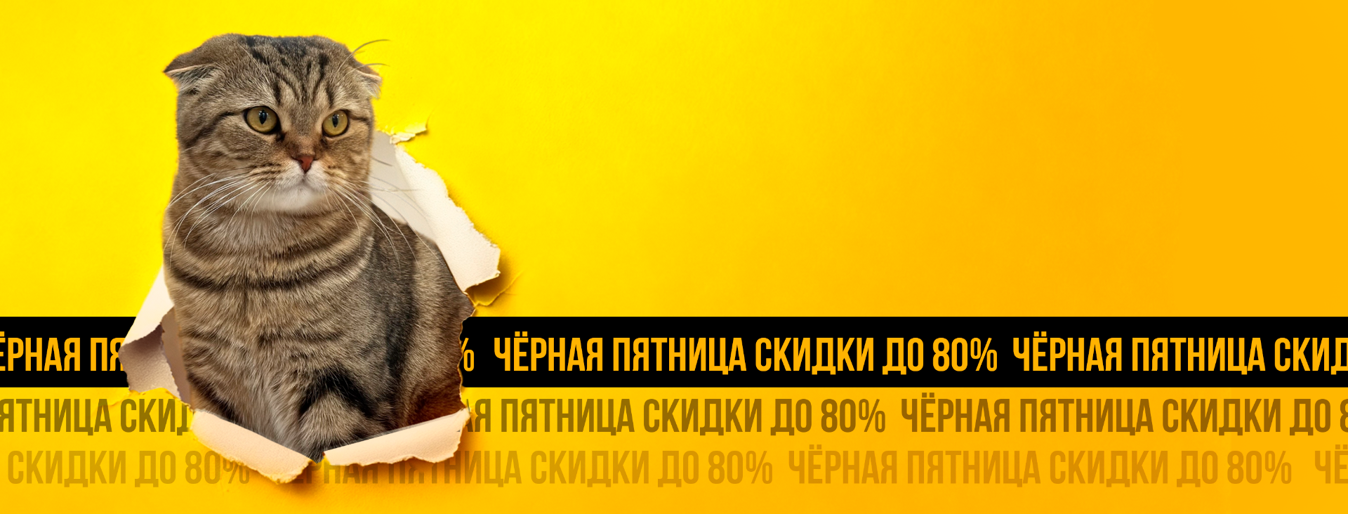 Черная пятница! Только 28 ноября