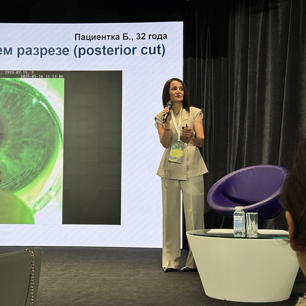 Описание картинки