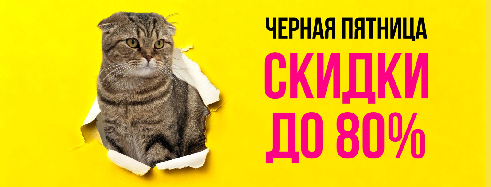 БАННЕР черная пятница (1).jpg