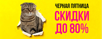 Черная пятница! Скидки до 80%!