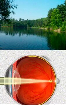 зрение в норме