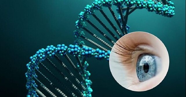 с развитием генотерапии открылась новая эра в лечении наследственных заболеваний сетчатки
